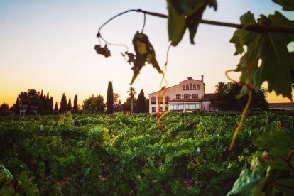 Clos Barenys - L'Orangerie de Vila-seca, un dels espais premiats per a celebrar bodes a Tarragona.