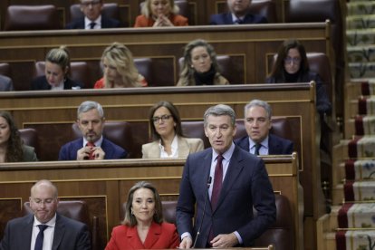 Imatge d'arxiu del líder del PP, Alberto Nuñez Feijóo, aquest març en una sessió de control al Congress