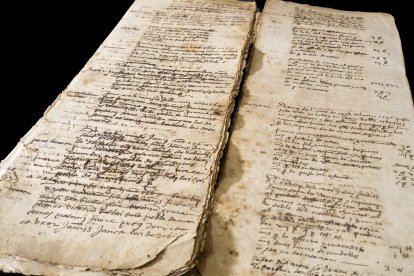 L'estat de conservació del volum no permet la consulta directa, perquè li cal una restauració, que es durà a terme quan s’aconsegueixi el finançament.