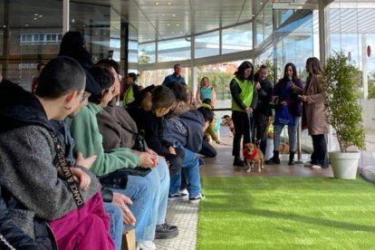 Imatge de la desfilada de gossos de l'any passat.