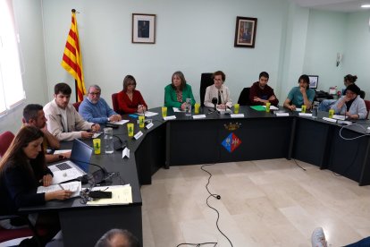 Ple extraordinari de la Bisbal del Penedès per aprovar la requalificació dels terrenys pera ubicar el polígon.
