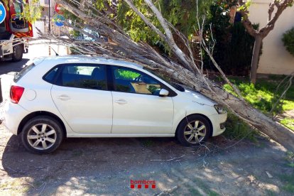 Un árbol caído sobre un coche en la calle de las Moreras, en Altafulla