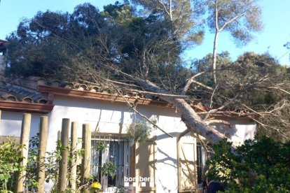 Cae un árbol sobre una casa a Begur