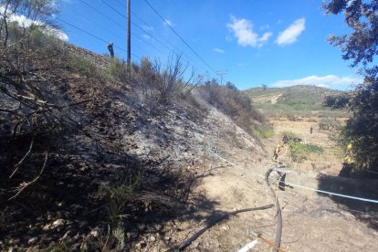 Imatge de l'incendi a Pradell de la Teixeta.