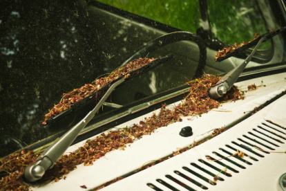 Imagen de un parabrisas muy sucio.