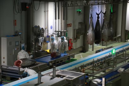 Treballadors de Balfegó processant tonyines a les noves instal·lacions del grup a l'Ametlla de Mar.