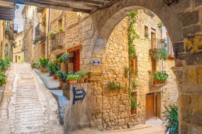 Imatge d'Horta de Sant Joan.