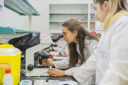 Fotografia d’arxiu d’una classe de laboratori a la Facultat de Medicina de la Universitat Rovira i Virgili.