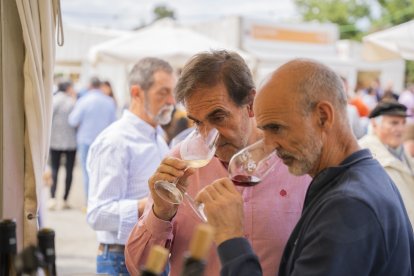 Feria del Vino de Falset.