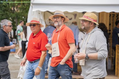 Feria del Vino de Falset.