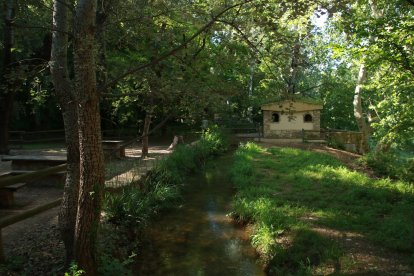 Un dels espais de l'Albereda de Santes Creus.