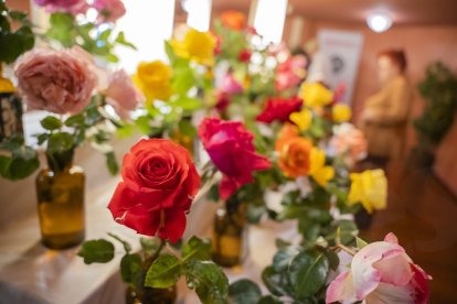 Festival Roses de Reus.