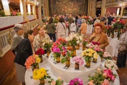 Festival Roses de Reus.