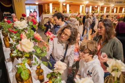 Festival Roses de Reus.