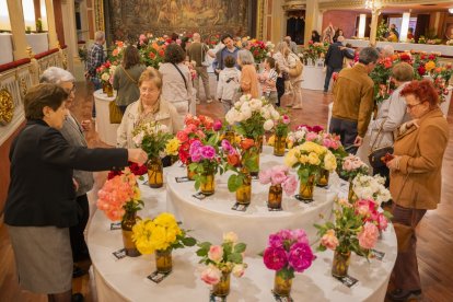 Festival Roses de Reus.