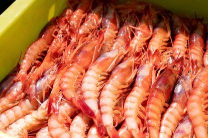 Imatge d'una caixa de marisc.