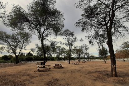 Fotografia d’arxiu del parc de les Famílies de Reus, un dels indrets on es crearà un refugi natural per animals.