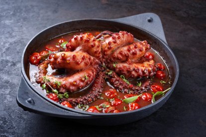 Imagen de pulpo.