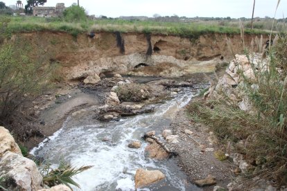 Imatge del barranc de Barenys, en el punt en què l'EDAR de Reus aboca aigua.
