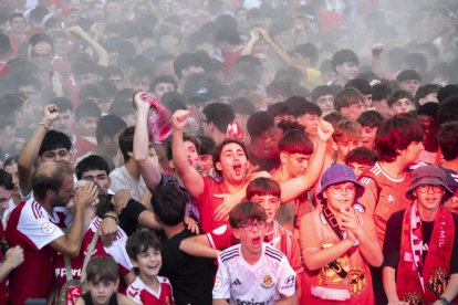 Afició grana veient el partit a la pantalla gegant del Parc del Francolí.