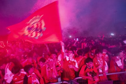 Afició grana veient el partit a la pantalla gegant del Parc del Francolí.