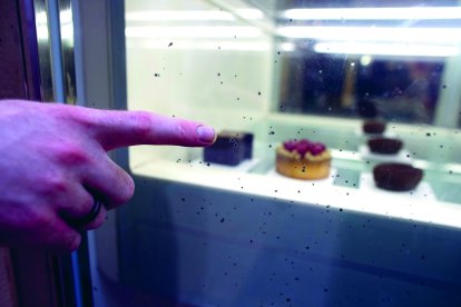 El vidre de l’aparador de la Gelateria Amarena, un dels establiments que ha patit danys.
