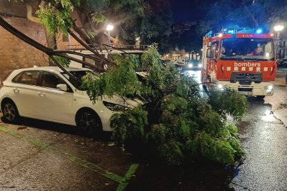 Imatge d'un arbre caigut sobre un cotxe durant la tempesta.