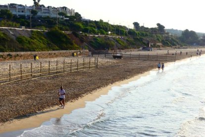 Imatge de la zona per a gossos a la platja Llarga de Tarragona