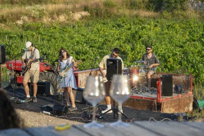 Actuación entre viñas dentro del festival Cantaperdius.