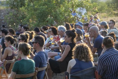 Actuación entre viñas dentro del festival Cantaperdius.
