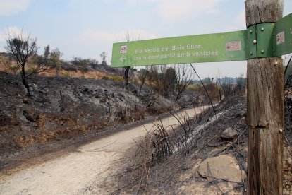 Cartell de la Via Verda, amb el terreny cremat a causa de l'incendi, a Aldover.