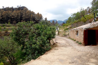 Una de les cases que hi ha dins la finca de la Maria que han quedat salvades de les flames