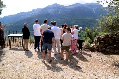Alcaldes i autoritats del Baix Ebre observant la zona afectada de l'incendi des del castell de Paüls.