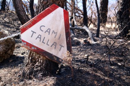 Cartel entre árboles quemados en Paüls