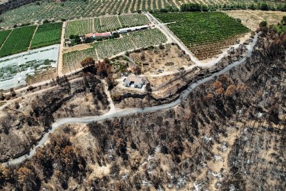 Zona quemada hasta una vivienda, en las planas de Xerta