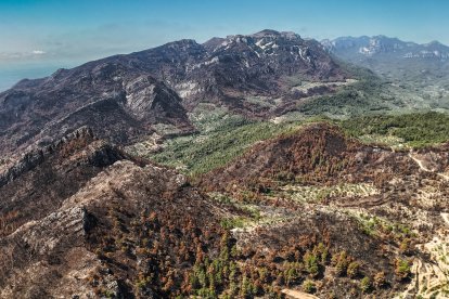 Imagen aérea de todo el Vall de l'infern y parte del término de Paüls quemado en el incendio