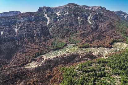 Zona de cultivo entre bosques quemados en Paüls
