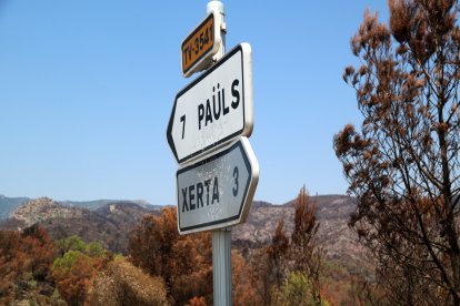 Carteles de tráfico ante la zona boscosa quemada de Vallcarca en Xerta