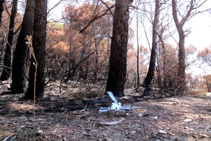 Un dron entre árboles quemados en Paüls