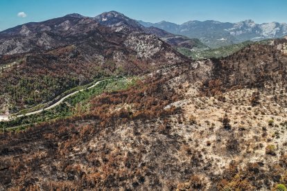 Alcance del incendio de Paüls en la zona más próxima al municipio