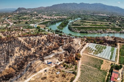 Zona de las planas de Xerta donde el fuego cruzó el Ebro