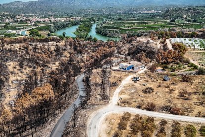 Zona afectada por el fuego delante de Xerta