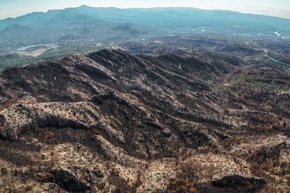 Zona de Vallcarca y Faixes quemada en el incendio de Paüls