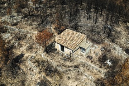 Casa de campo rodeada de pinos quemados en Paüls