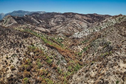Zona de las Faixes de Paüls arrasadas por el fuego