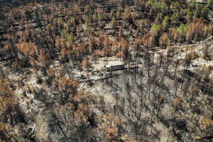 Una casita en medio de pinar quemado en Paüls