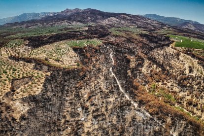 Zona quemada por el fuego de Paüls con alguna finca superviviente