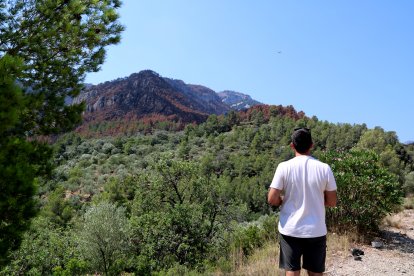 El fotógrafo Jordi Borràs tomando imágenes de la zona quemada en Paüls