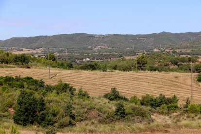 L'incendi d'Òdena del 2025 es va iniciar al costat d'aquests camps de conreu