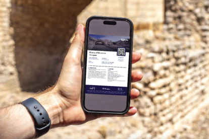 El web inclourà la venda d’entrades a tots els museus, espectacles, i activitats municipals .